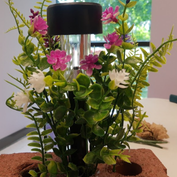 Solar Light 