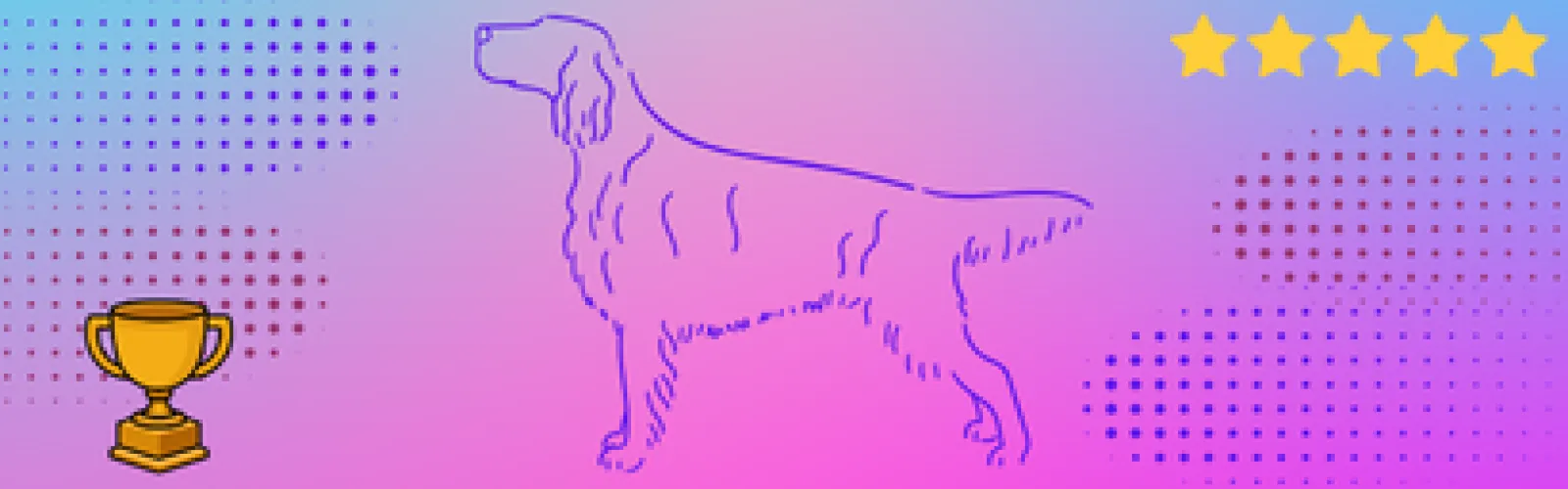 An evening with Lindsey Cook